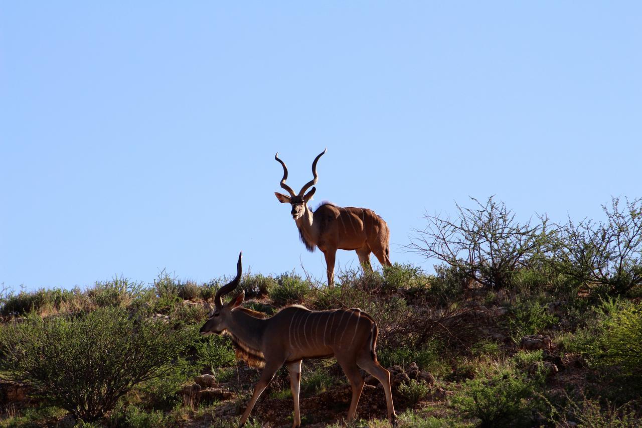 Kgalagadi Lodge Askham Kültér fotó